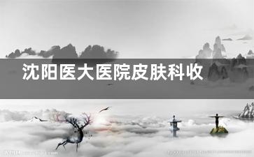 沈阳医大医院皮肤科收费标准2025更新：祛斑|祛疤痕|银屑病|痤疮|湿疹等费用明细！